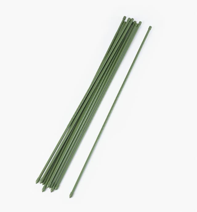 image of Tuteurs permanents