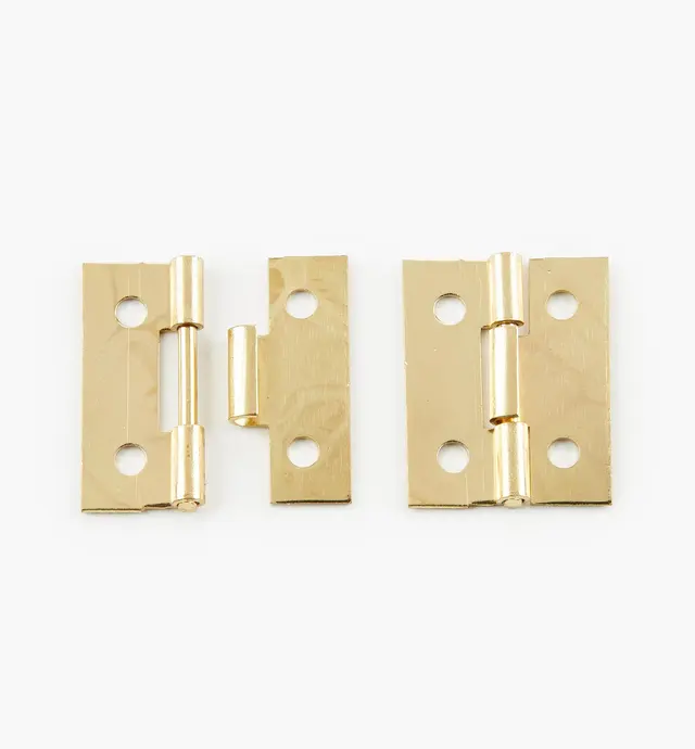 image of Detachable Hinges