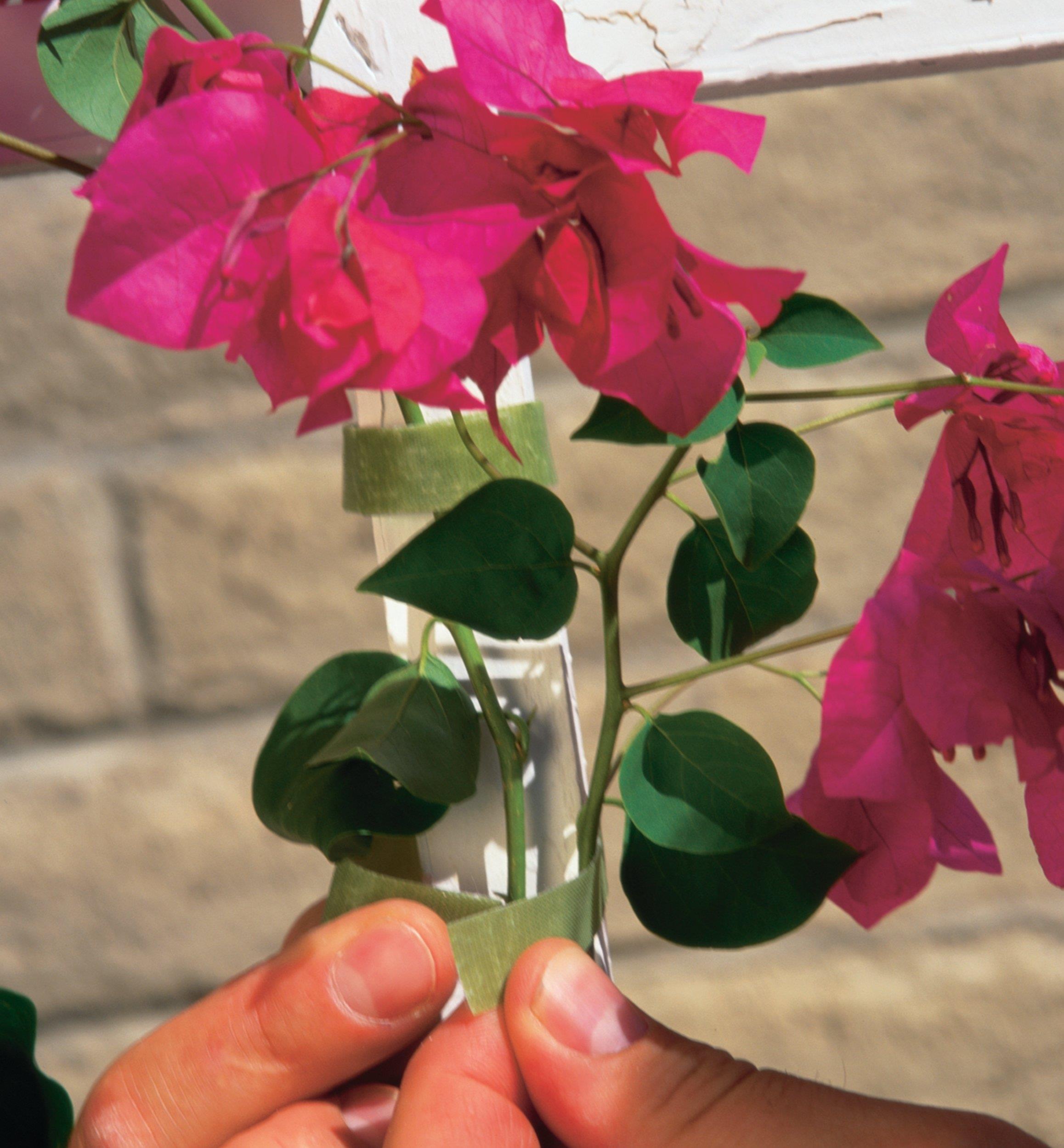 VELCRO® Plant Tie
