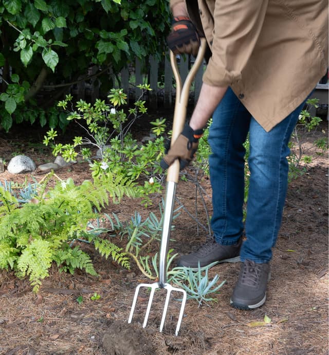 image of Fourche à bêcher en acier inoxydable à manche en bois