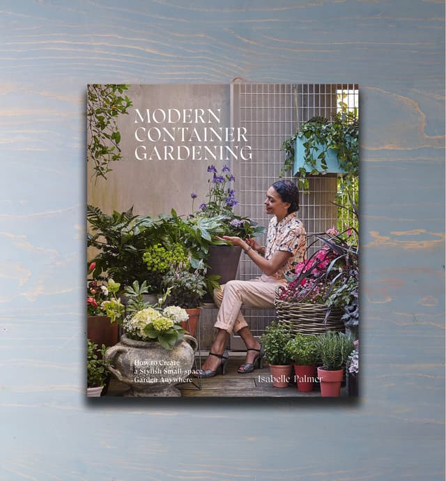 image of Modern Container Gardening