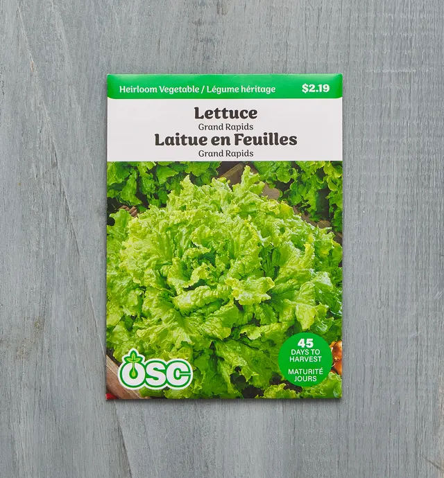 image of OSC Heirloom Grand Rapids Lettuce Seed Packet