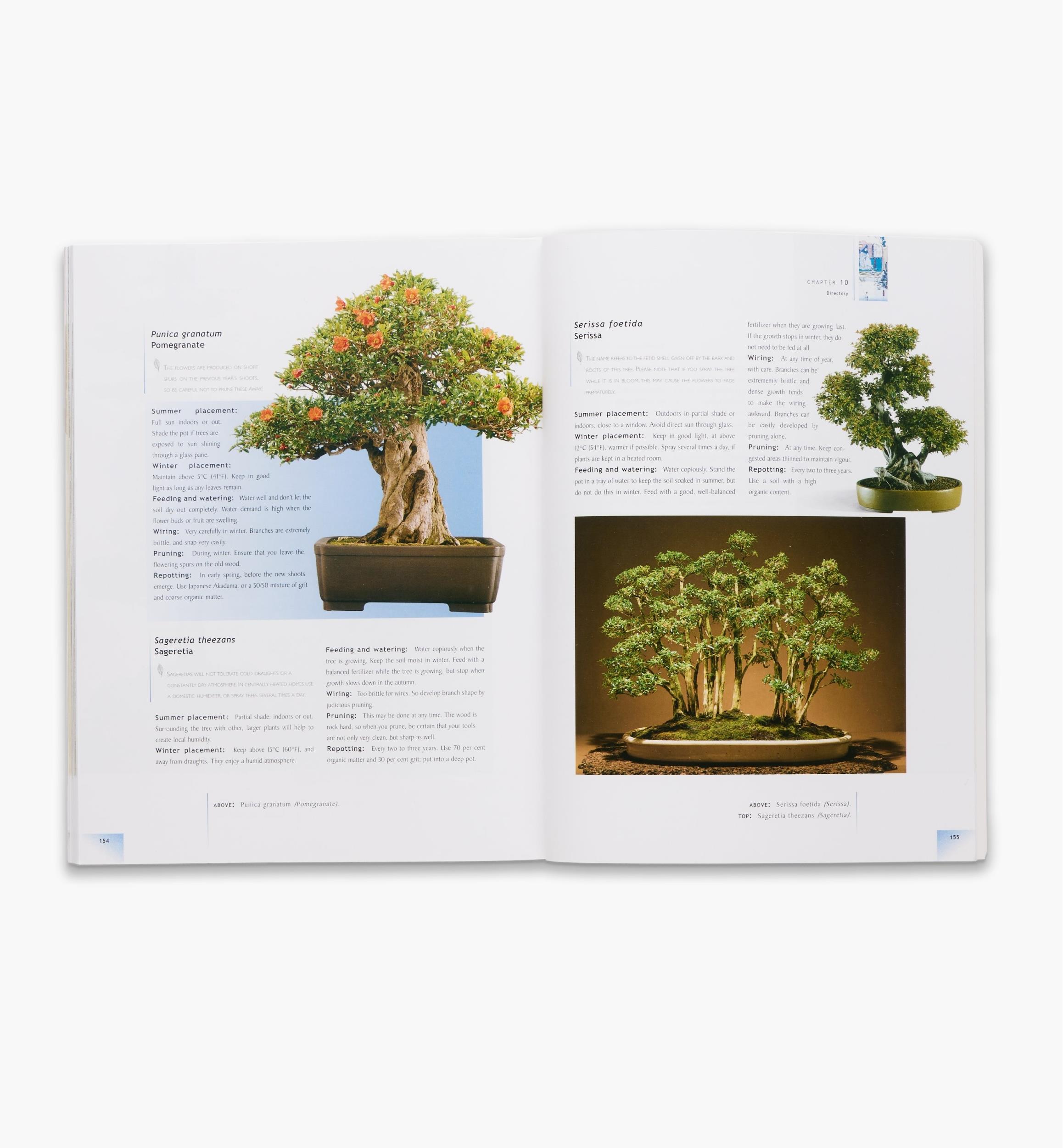 The Bonsai Handbook