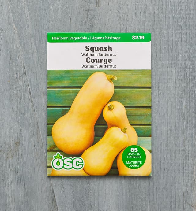 image of OSC Waltham Butternut Squash Seed Packet