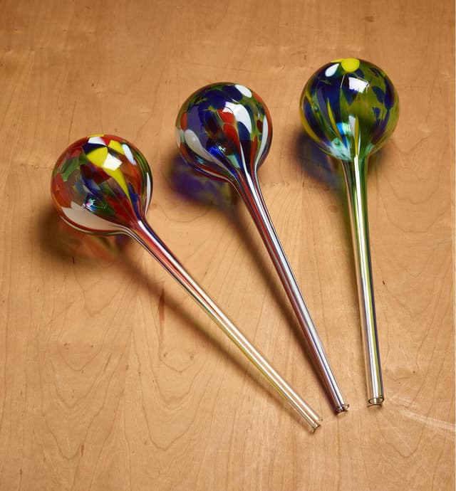 image of Watering Bulb