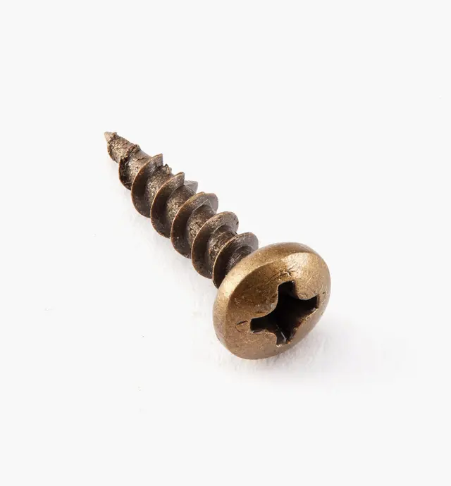 image of Antique Brass Pan-Head Screws
