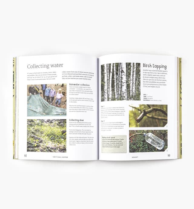 image of Forest School Adventure