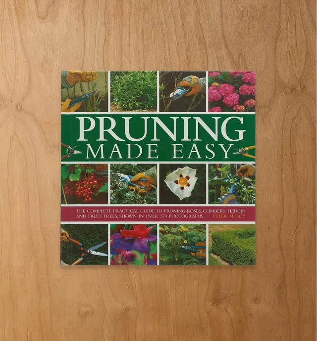 image of Pruning Made Easy
