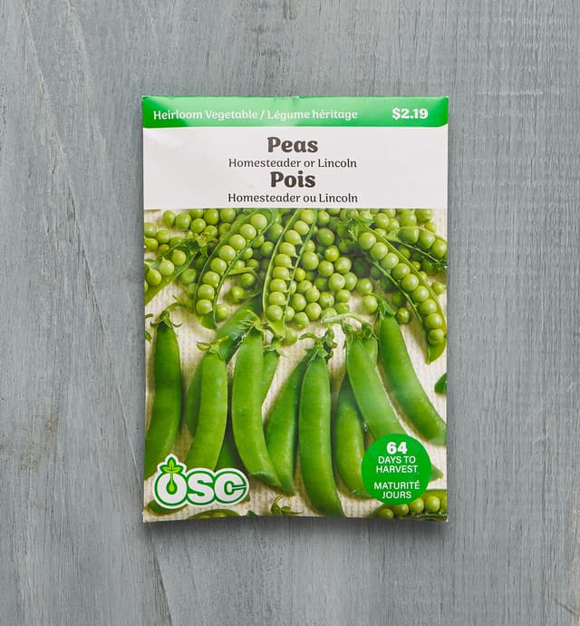 image of Sachet de semences OSC – Pois Homesteader ou Lincoln