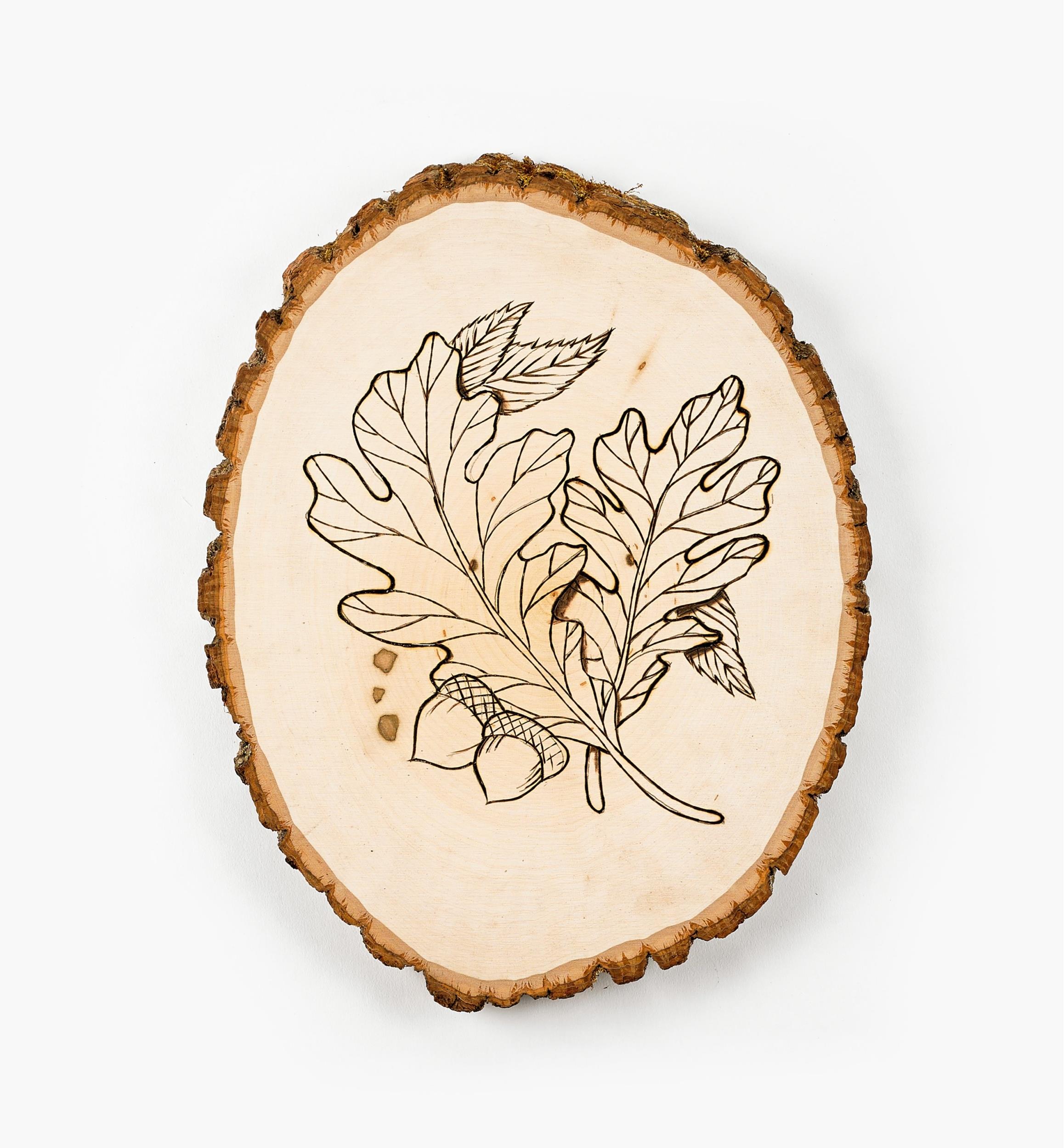 Live-Edge Oval Basswood Plaques