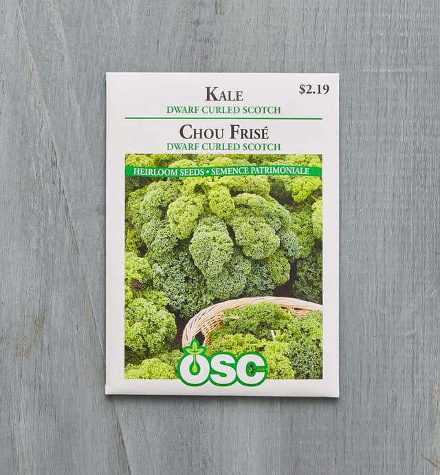image of OSC Kale Seed Packet