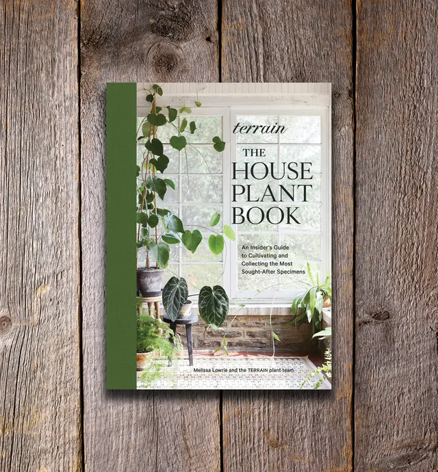 image of Terrain – The Houseplant Book