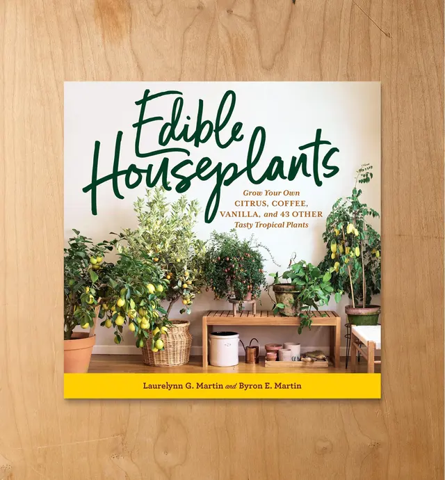 image of Edible Houseplants