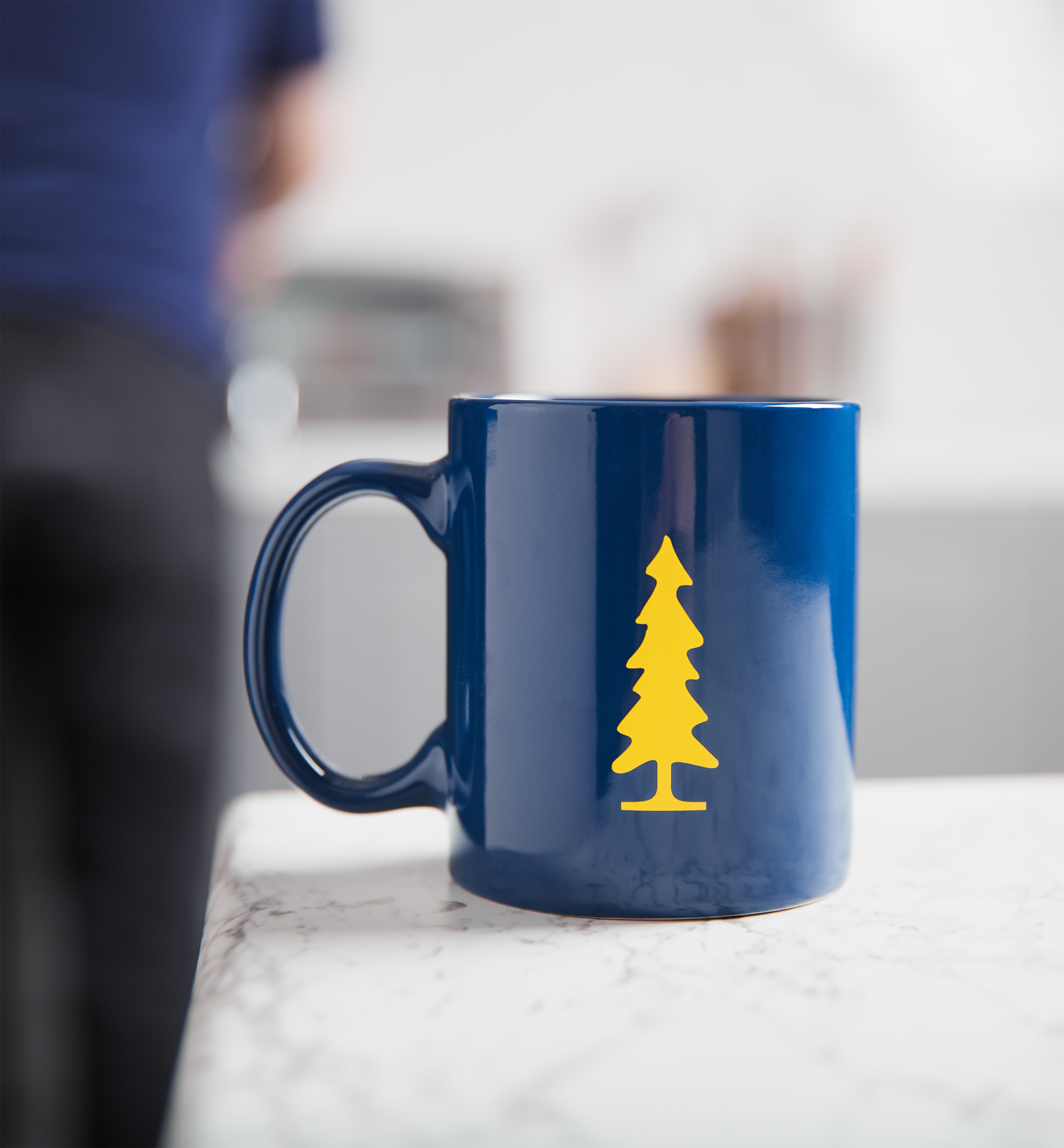 Lee Valley Ceramic Mug UPM3H7GFCS