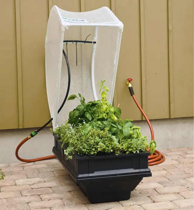 A small Vegepod container garden full of plants sits on a patio, and is connected to a water supply