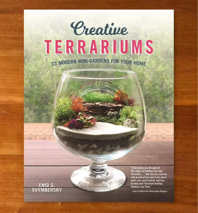 image of Creative Terrariums