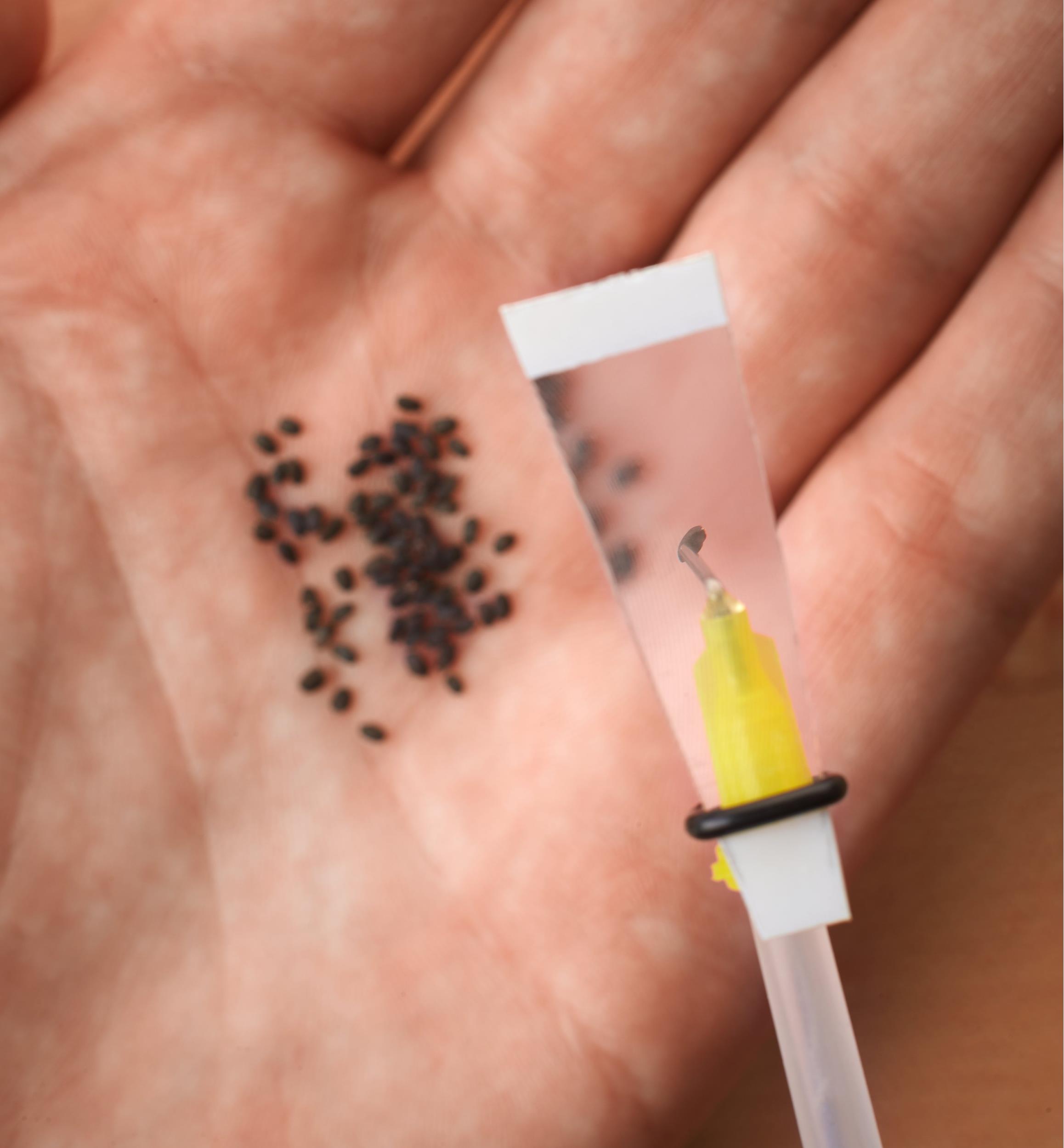 Mini Wand Seeder