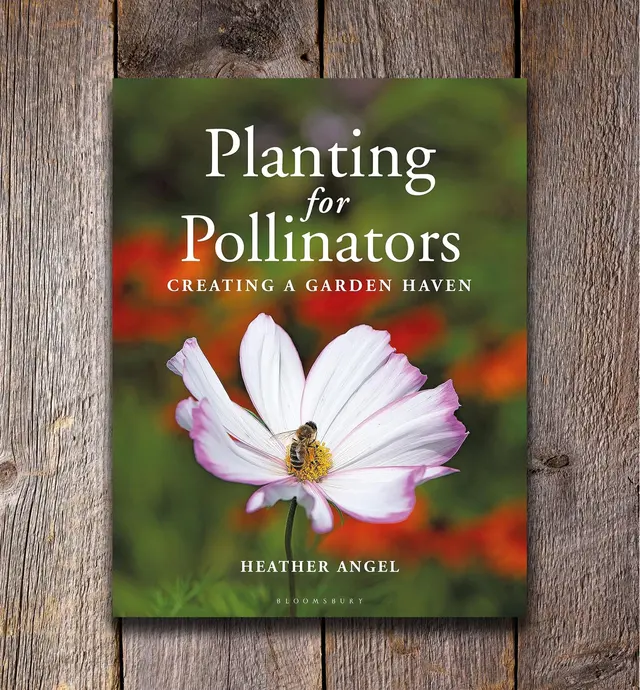 image of Planting for Pollinators