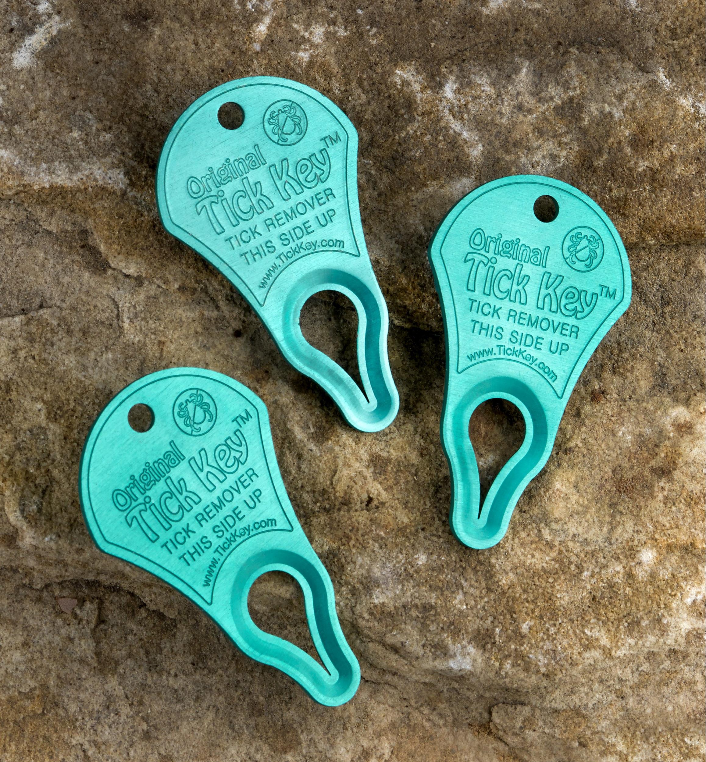 Set of 3 Tick Key Tick Removers