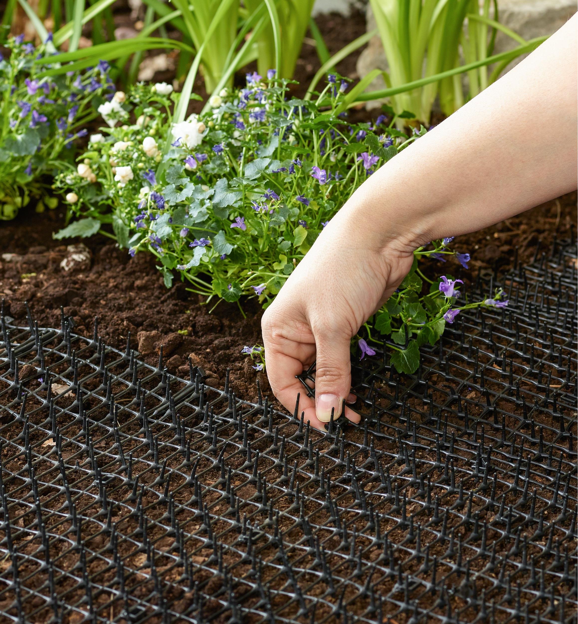 Tapis repousse-chat CatScat