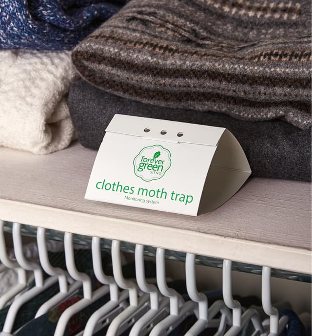 A clothes moth trap sitting on a shelf next to folded sweaters