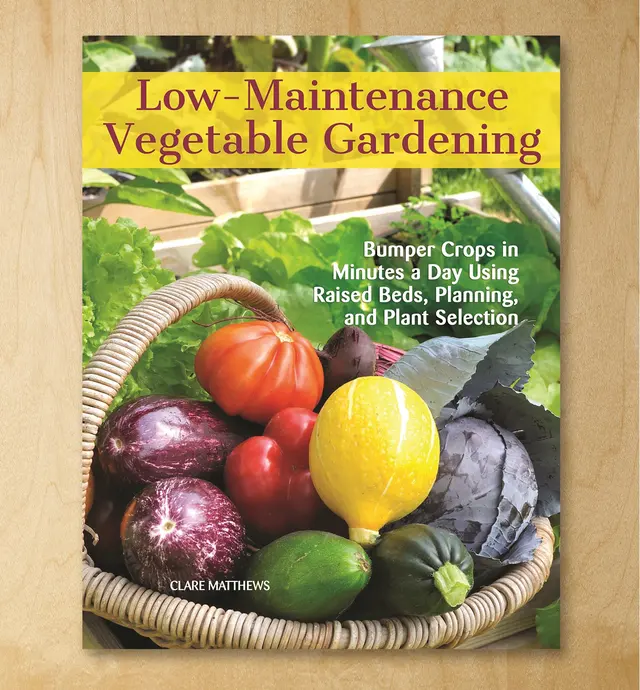 image of Low-Maintenance Vegetable Gardening