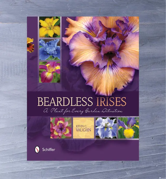 image of Beardless Irises