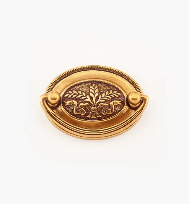 image of Georgian Cast Plate Pulls