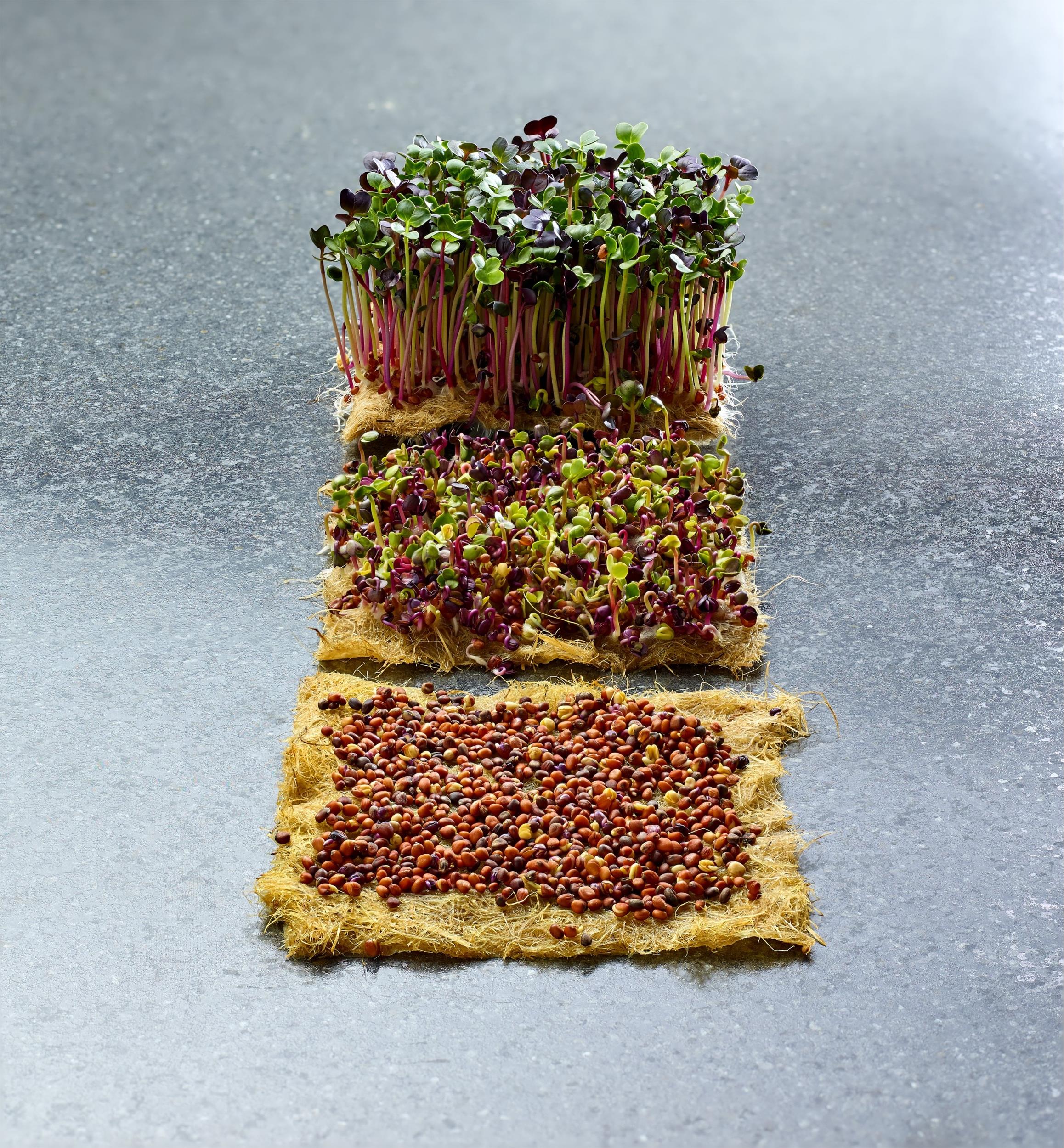 Hemp-Fiber Grow Mats