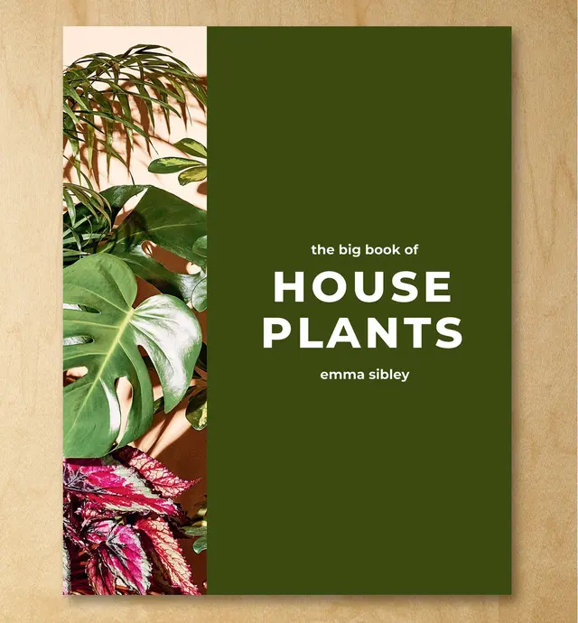 image of The Big Book of House Plants