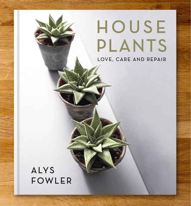 image of House Plants – Love, Care and Repair
