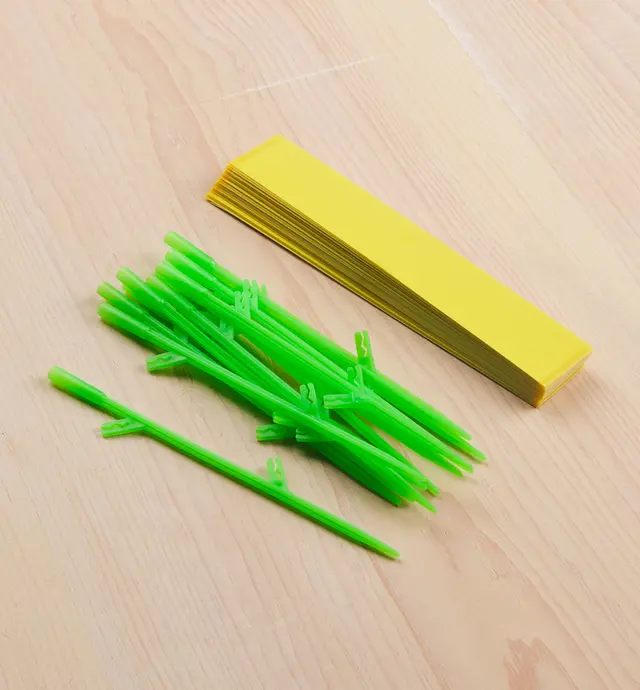 image of Sticky Insect Traps