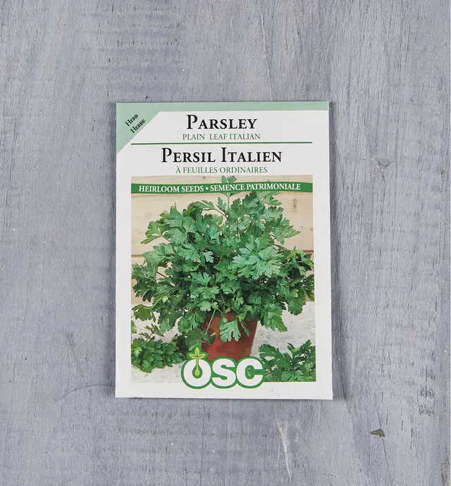 image of Sachet de semences de persil Italien (à feuilles ordinaires) biologique OSC