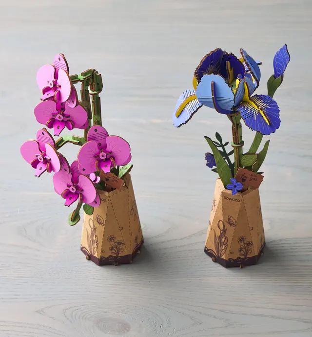 image of Fleurs en bois à assembler