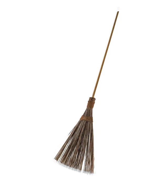 image of Outdoor Broom