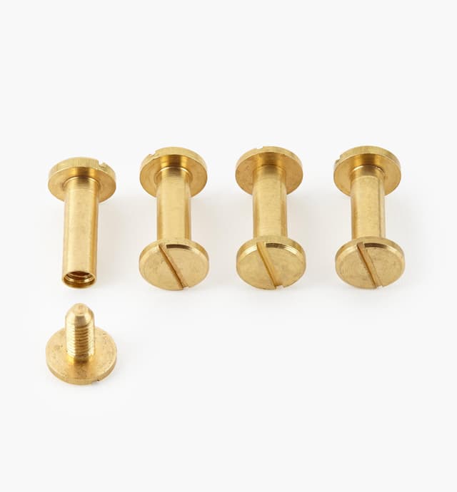 image of Chicago Bolts