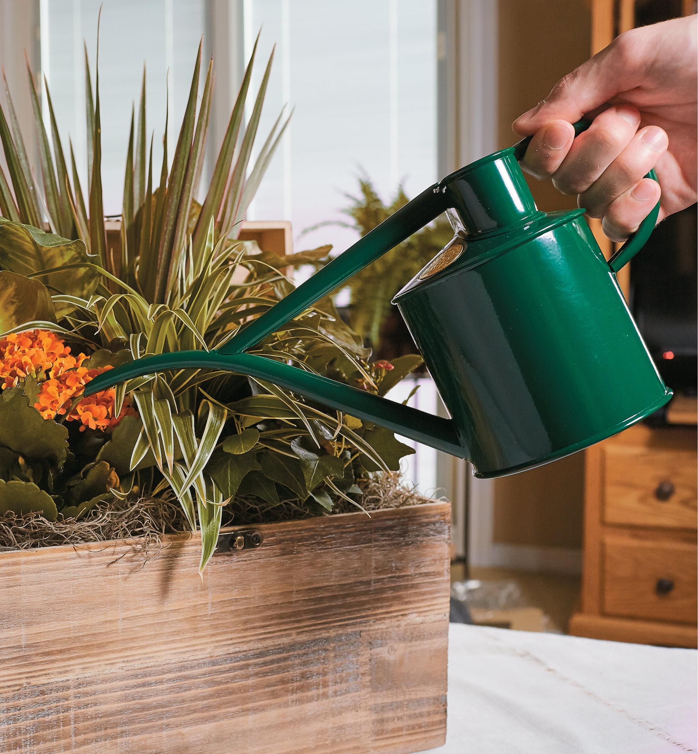 Haws Watering Can