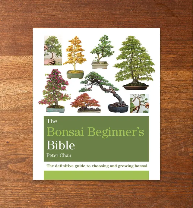 image of Bonsai Beginner's Bible