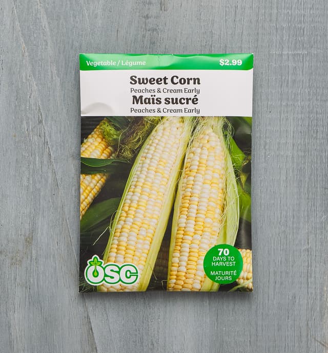 image of OSC Corn Seed Packet