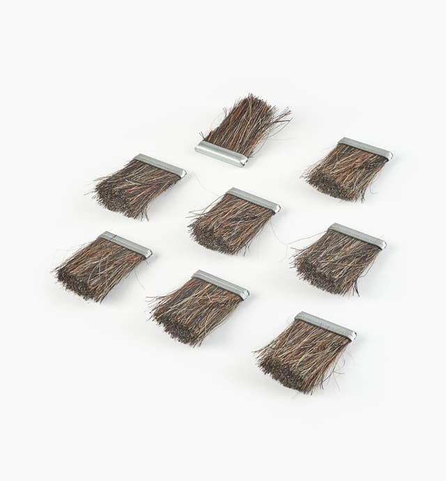 image of Brosses de remplacement pour roue à bandes abrasives