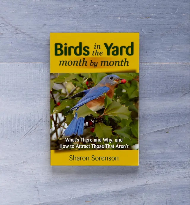 image of Birds in the Yard Month by Month