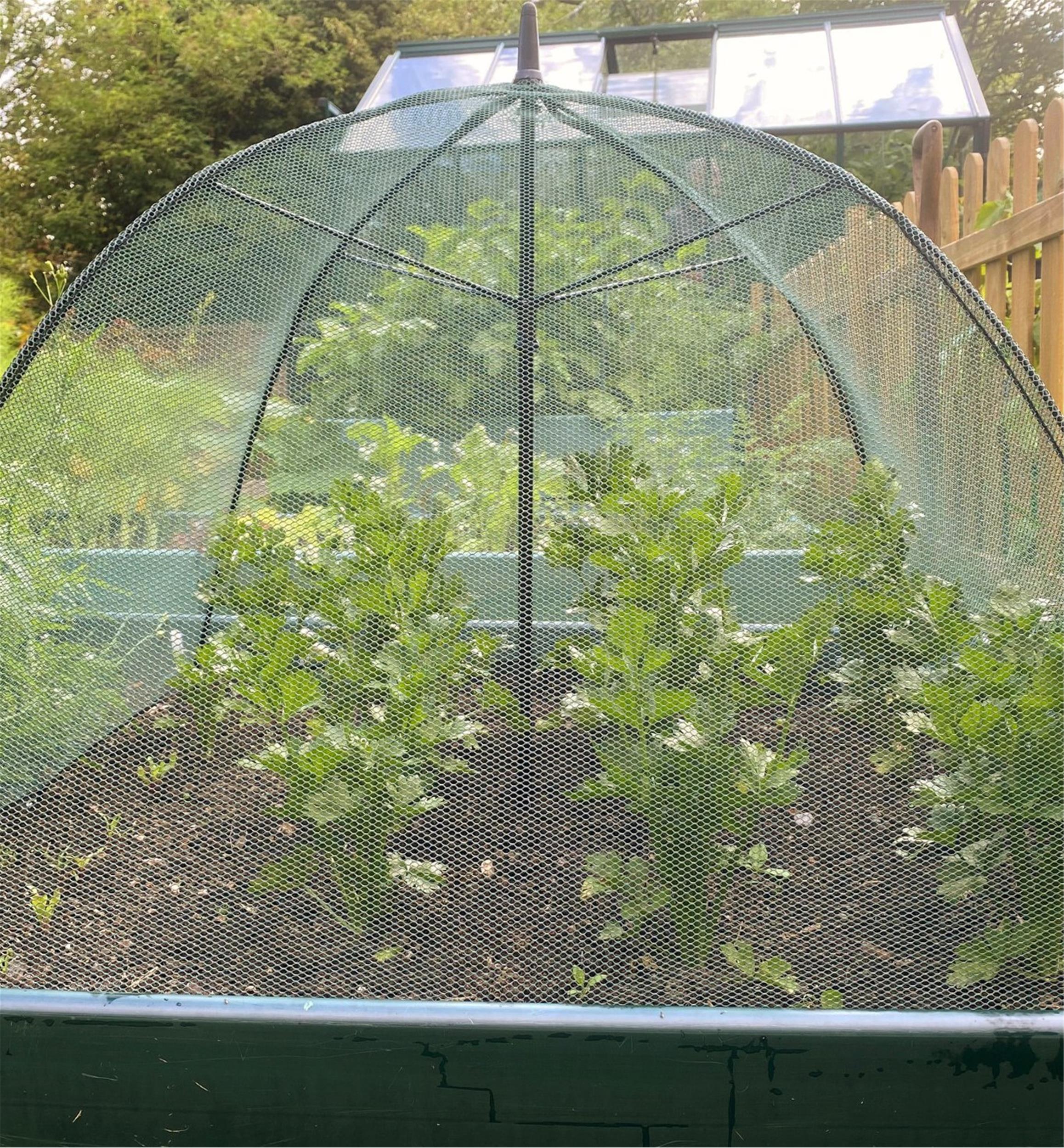 Dôme de jardin