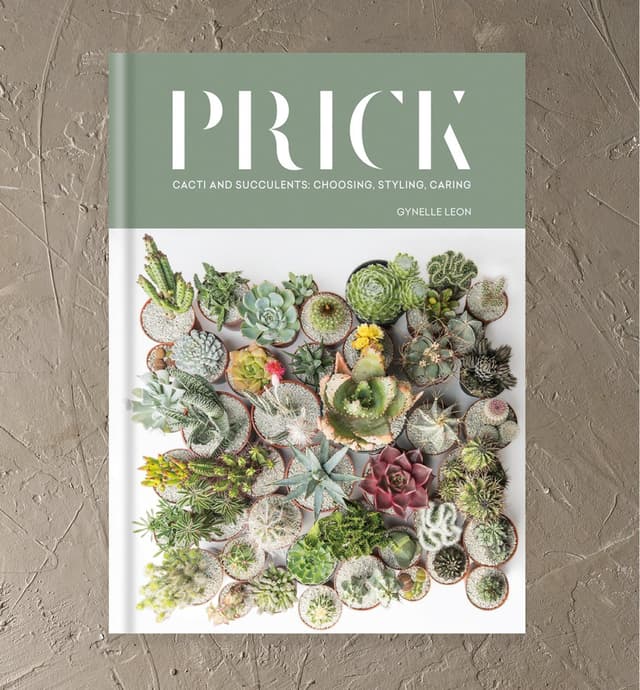 image of Prick – Cacti and Succulents: Choosing, Styling, Caring