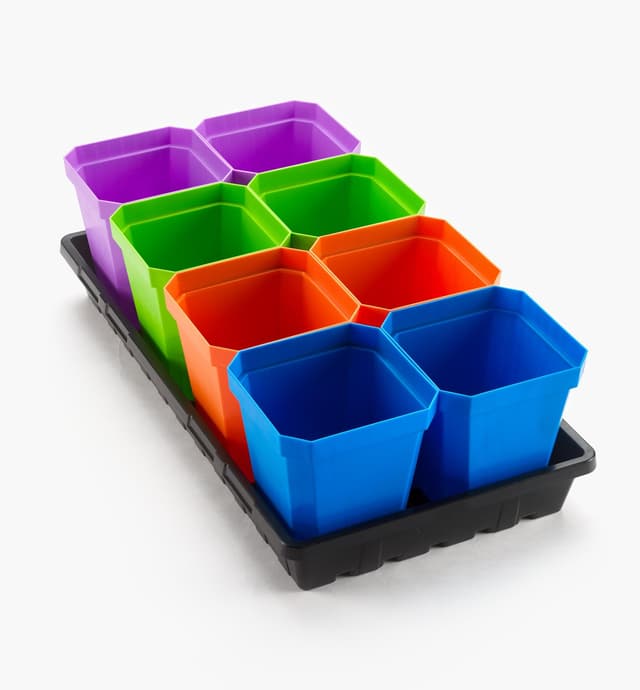 image of Lot de 8 pots de 5 po avec plateau