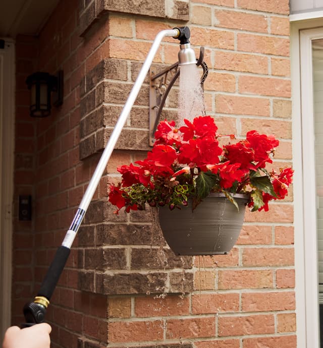 image of Water Wand & Pivoting Rain Head