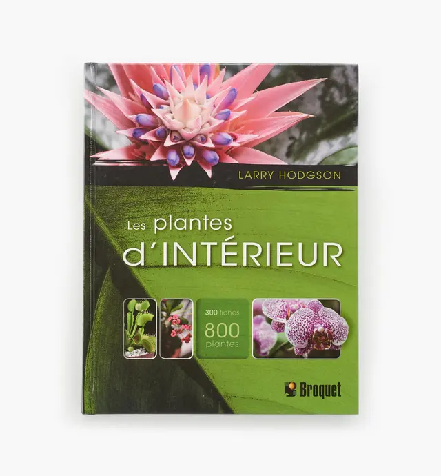 image of Les plantes d'intérieur