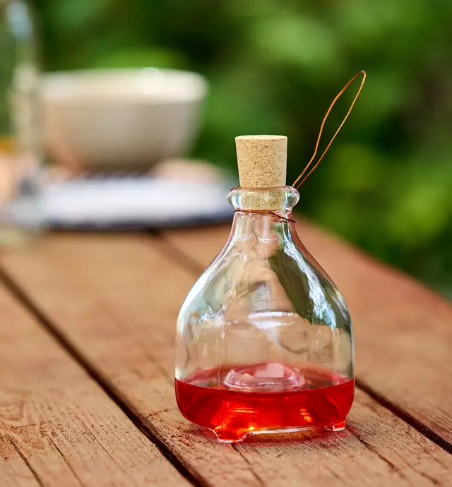 image of Hanging Wasp Trap