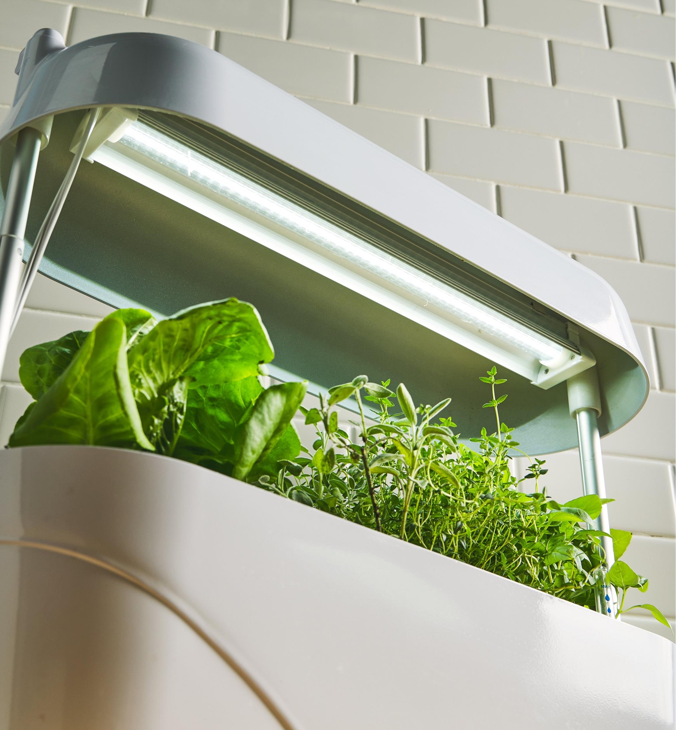 Jardinière à lampe horticole pour la cuisine