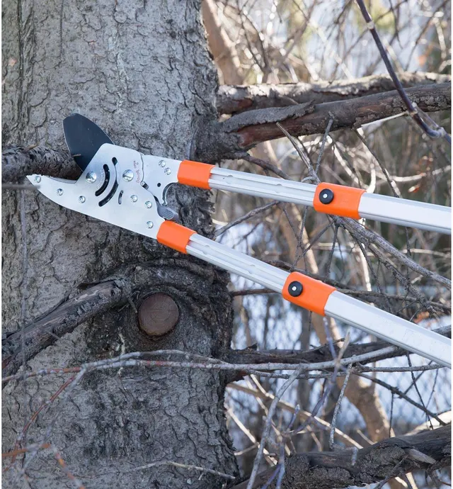 image of Heavy-Duty Bypass & Anvil Loppers