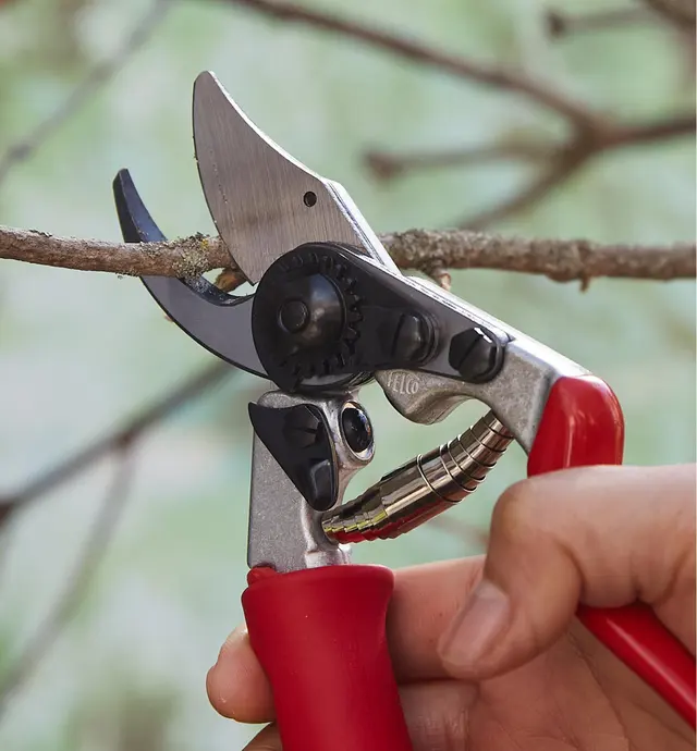 image of Felco #15 Pruner